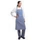 Whites Bib Apron Blue and White Check A554