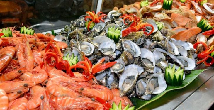 Buy TROPICALISED Seafood Chiller Cabinet At Handy Imports